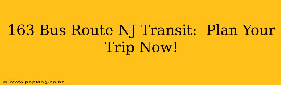 163 Bus Route NJ Transit:  Plan Your Trip Now!