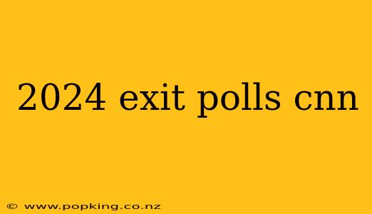 2024 exit polls cnn
