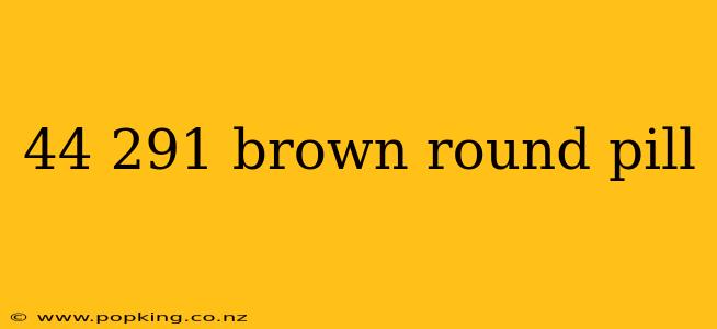 44 291 brown round pill