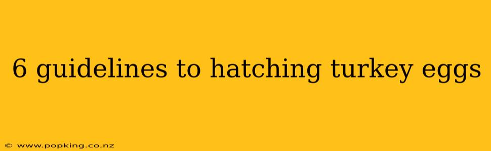 6 guidelines to hatching turkey eggs
