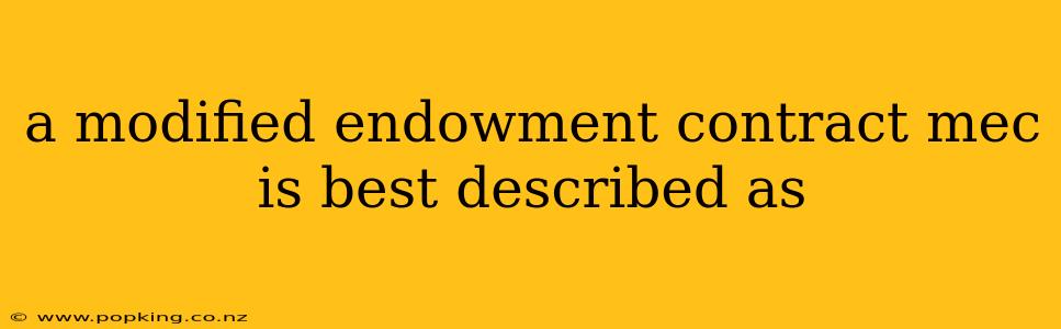 a modified endowment contract mec is best described as