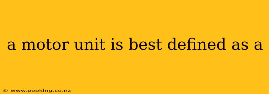 a motor unit is best defined as a