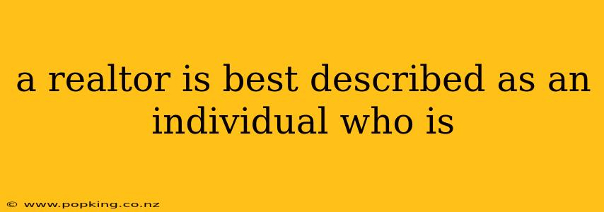a realtor is best described as an individual who is