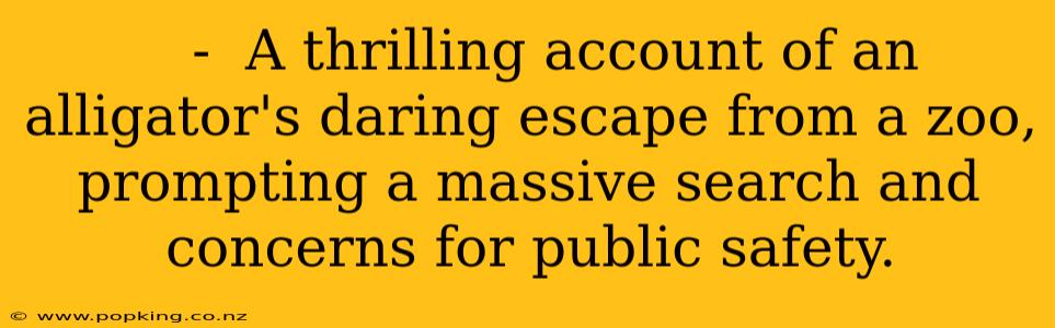    -  A thrilling account of an alligator's daring escape from a zoo, prompting a massive search and concerns for public safety.
