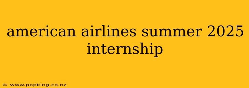 american airlines summer 2025 internship