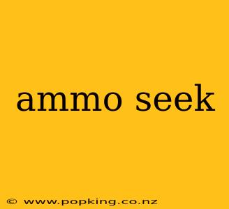 ammo seek