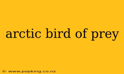 arctic bird of prey