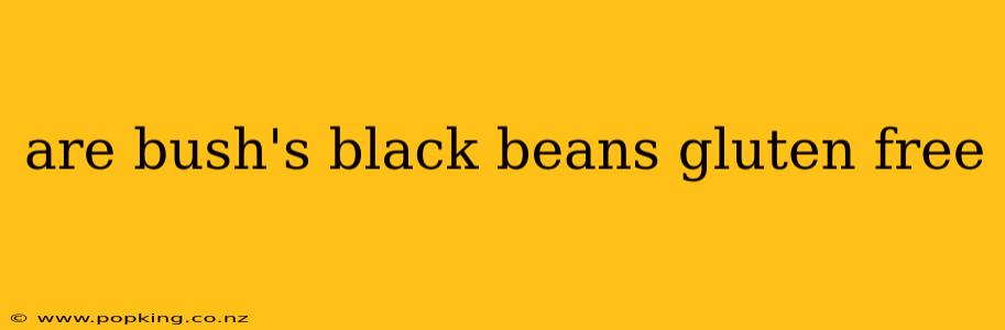 are bush's black beans gluten free