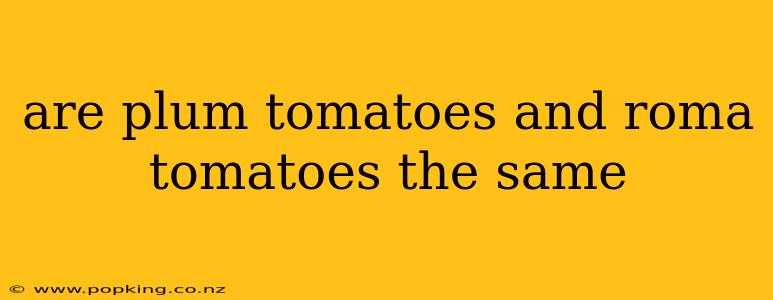 are plum tomatoes and roma tomatoes the same