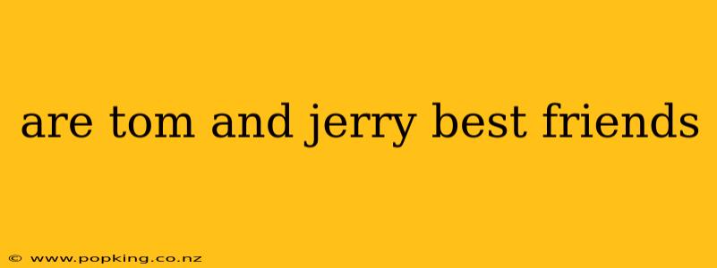 are tom and jerry best friends