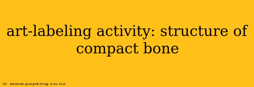 art-labeling activity: structure of compact bone
