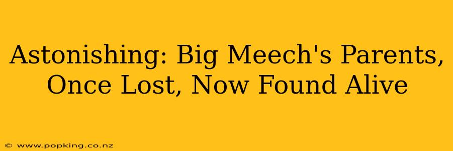 Astonishing: Big Meech's Parents, Once Lost, Now Found Alive