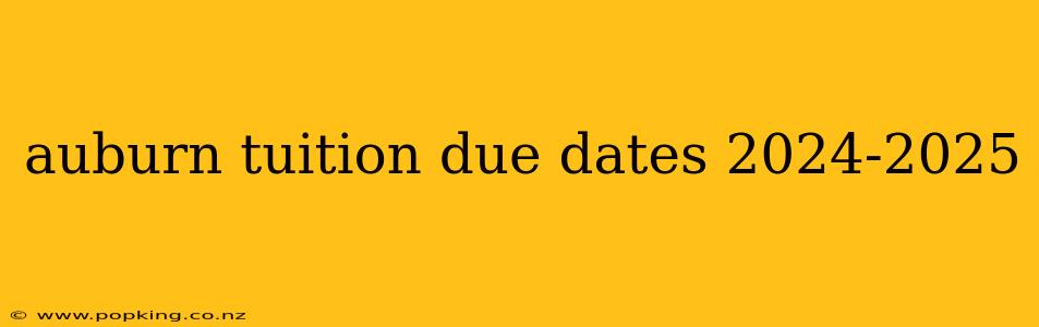 auburn tuition due dates 2024-2025