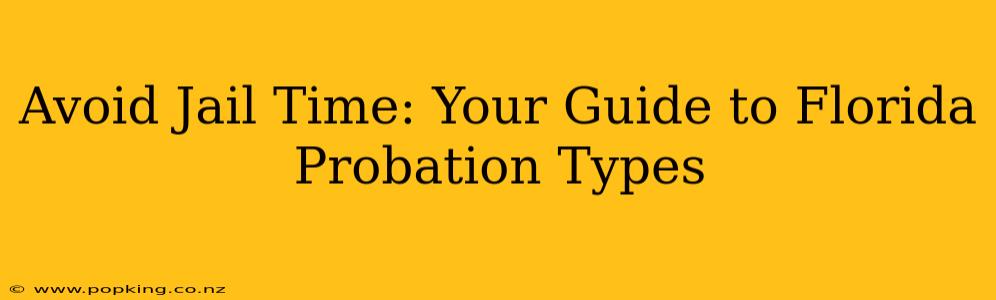 Avoid Jail Time: Your Guide to Florida Probation Types