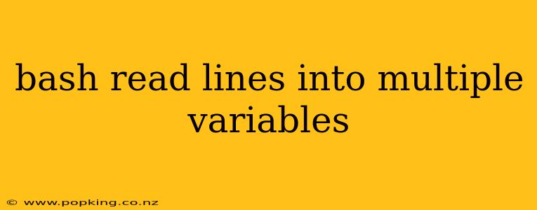 bash read lines into multiple variables
