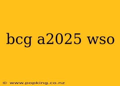 bcg a2025 wso