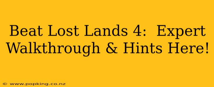 Beat Lost Lands 4:  Expert Walkthrough & Hints Here!