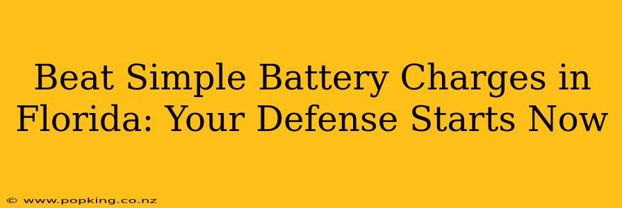 Beat Simple Battery Charges in Florida: Your Defense Starts Now