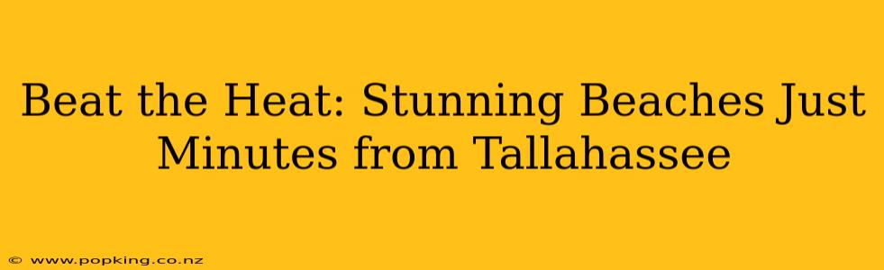 Beat the Heat: Stunning Beaches Just Minutes from Tallahassee