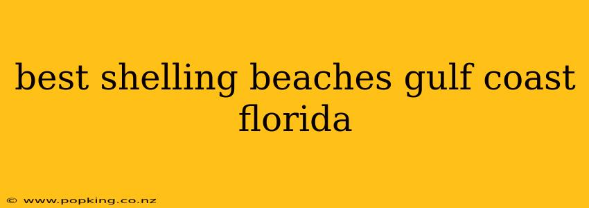 best shelling beaches gulf coast florida