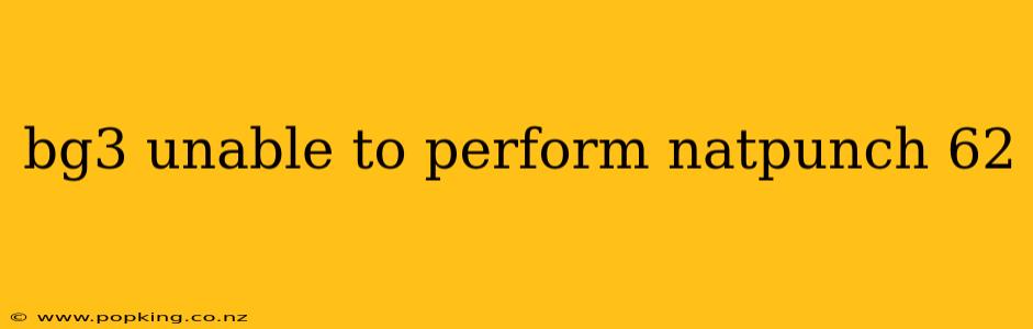 bg3 unable to perform natpunch 62