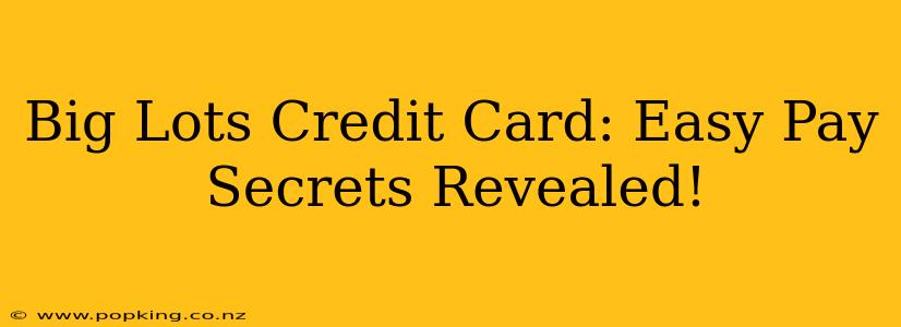 Big Lots Credit Card: Easy Pay Secrets Revealed!
