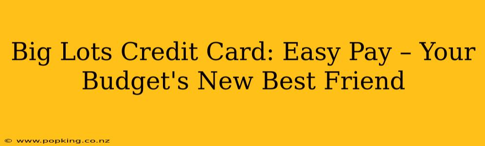Big Lots Credit Card: Easy Pay – Your Budget's New Best Friend
