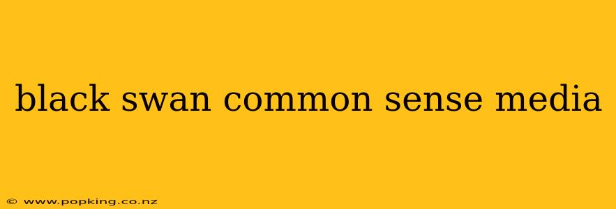 black swan common sense media