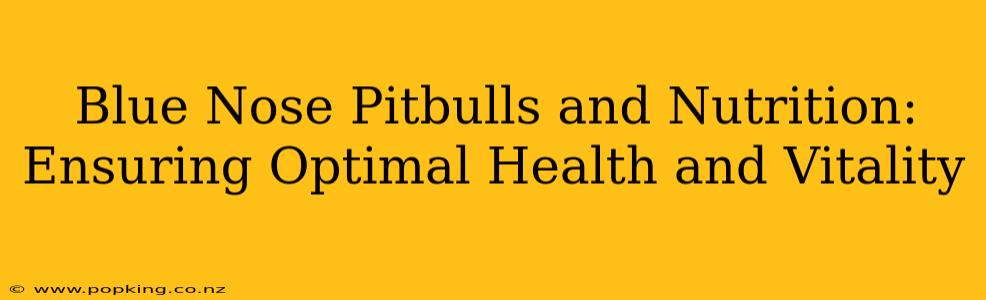 Blue Nose Pitbulls and Nutrition: Ensuring Optimal Health and Vitality