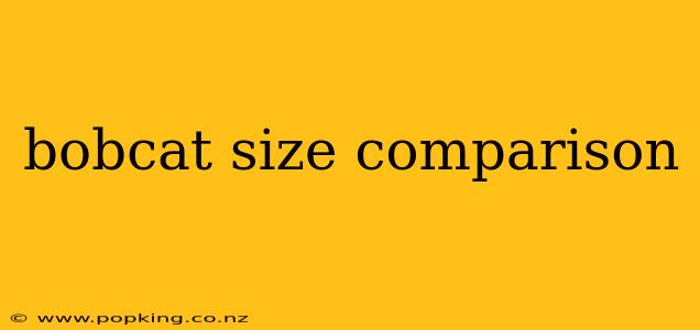 bobcat size comparison