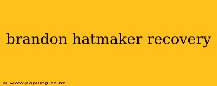 brandon hatmaker recovery