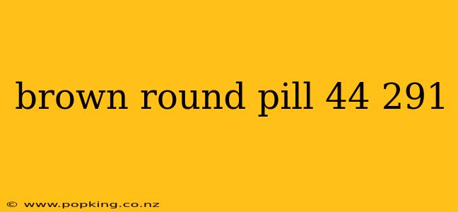 brown round pill 44 291