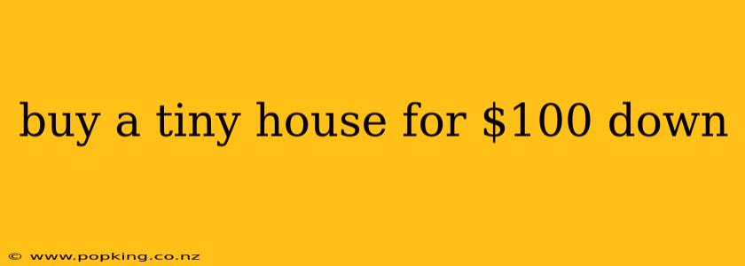 buy a tiny house for $100 down