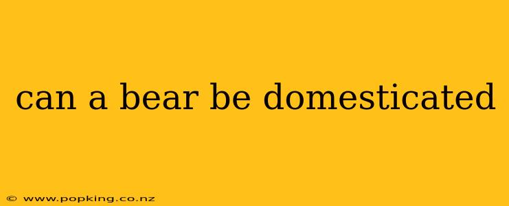can a bear be domesticated