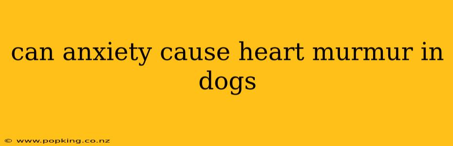 can anxiety cause heart murmur in dogs