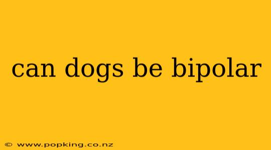 can dogs be bipolar