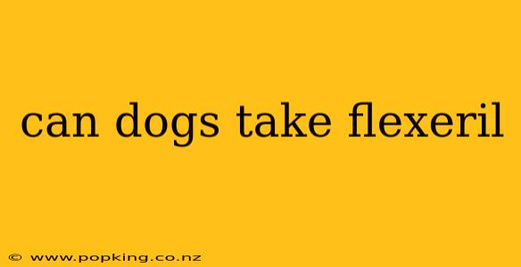 can dogs take flexeril