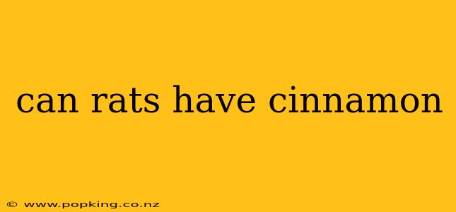 can rats have cinnamon