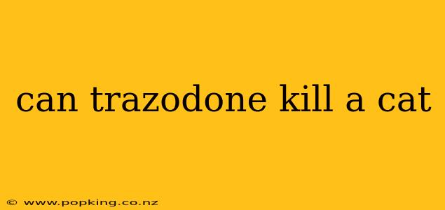 can trazodone kill a cat