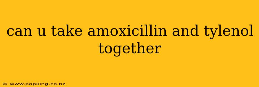 can u take amoxicillin and tylenol together