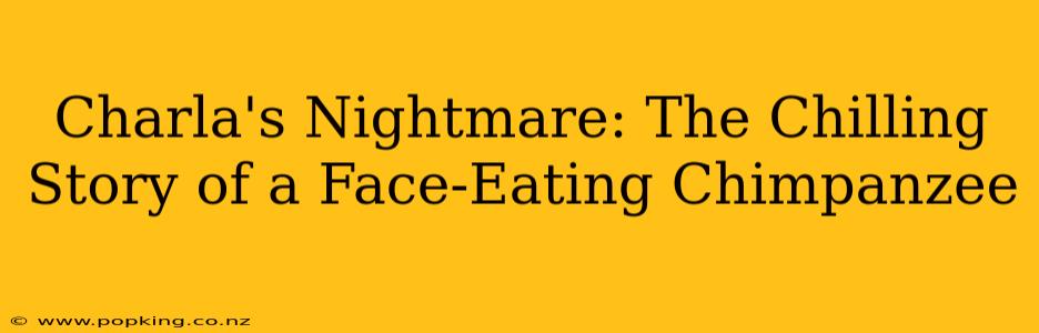 Charla's Nightmare: The Chilling Story of a Face-Eating Chimpanzee
