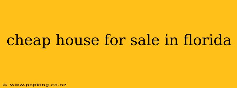 cheap house for sale in florida