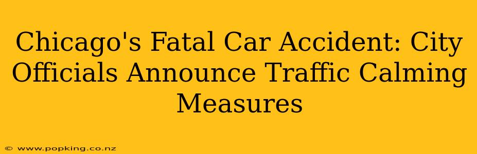 Chicago's Fatal Car Accident: City Officials Announce Traffic Calming Measures
