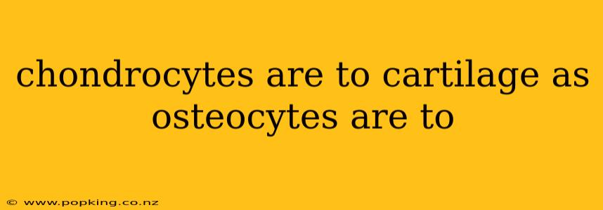 chondrocytes are to cartilage as osteocytes are to