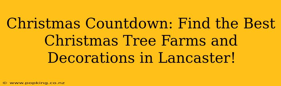 Christmas Countdown: Find the Best Christmas Tree Farms and Decorations in Lancaster!