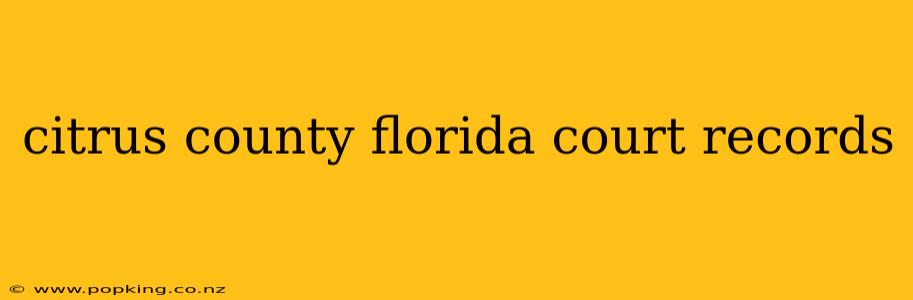 citrus county florida court records