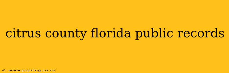 citrus county florida public records