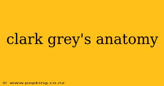 clark grey's anatomy