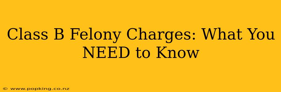 Class B Felony Charges: What You NEED to Know