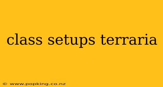 class setups terraria